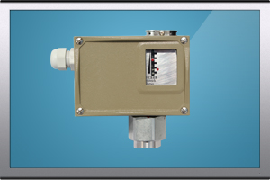 BL-Y501防腐型壓力開關(guān)